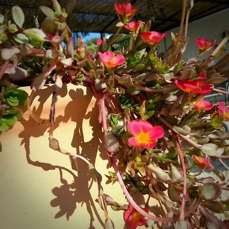 Casa Colina Guest house Comares