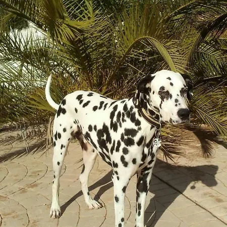 בית הארחה Casa Colina 3*